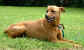 Nora1.jpg (23540 Byte)