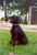 assat2.jpg (34355 Byte)
