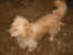 117-1721_IMG.JPG (15850 Byte)