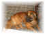 119-1979_IMG.JPG (12040 Byte)