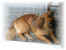 119-1980_IMG.JPG (11521 Byte)