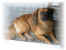 119-1981_IMG.JPG (11556 Byte)