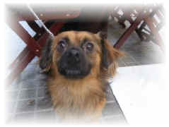 119-1982_IMG.JPG (12009 Byte)