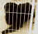 nono05.jpg (29344 Byte)