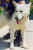 wayne03.jpg (31224 Byte)