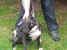 IM000595.JPG (241566 Byte)