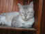 106-0604_IMG.JPG (19767 Byte)
