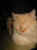 113-1400_IMG.JPG (16720 Byte)