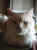 114-1402_IMG.JPG (19085 Byte)