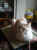 114-1403_IMG.JPG (21798 Byte)