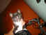 114-1470_IMG.JPG (11540 Byte)