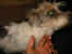 114-1498_IMG.JPG (14504 Byte)