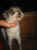 114-1499_IMG.JPG (12220 Byte)