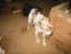 115-1502_IMG.JPG (15897 Byte)