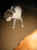 115-1504_IMG.JPG (13142 Byte)