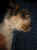 115-1513_IMG.JPG (15650 Byte)