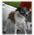 Pitti2.jpg (77328 Byte)