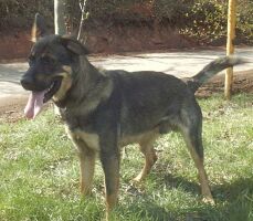 Odin1